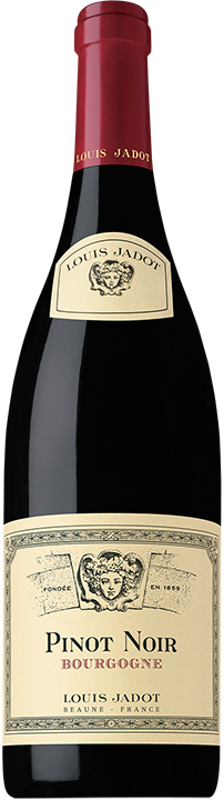 Pinot Noir Bourgogne