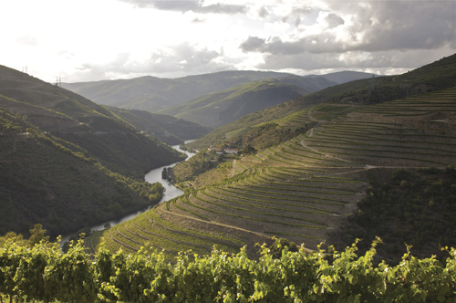 View of Quinta do Panascal