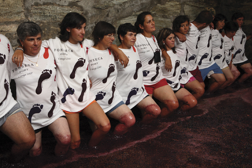 Fonseca Foot Treading