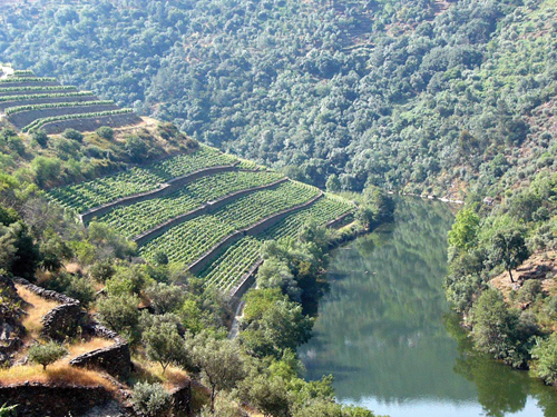 Quinta do Panascal