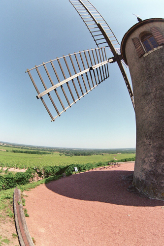 The famous windmill after which the Moulin-à-Vent cru is named