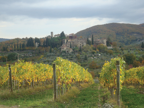 Tenute del Cabreo Vineyards