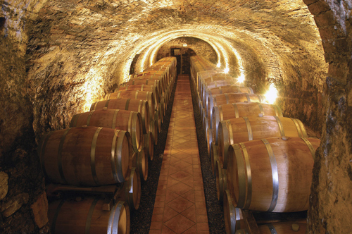 The Cellar