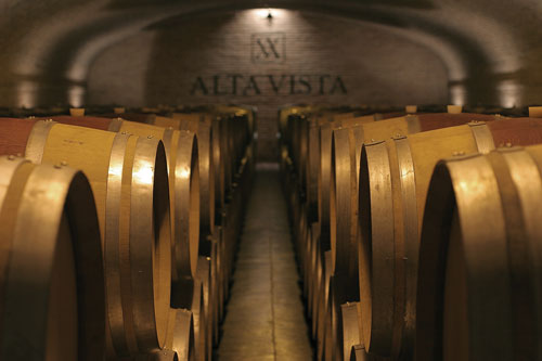 The Cellar