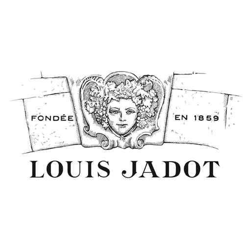 Louis Jadot BMV – Burgundies Blitz Kit