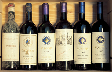 Jancis Robinson MW is Beguiled by Tenuta San Guido Wines