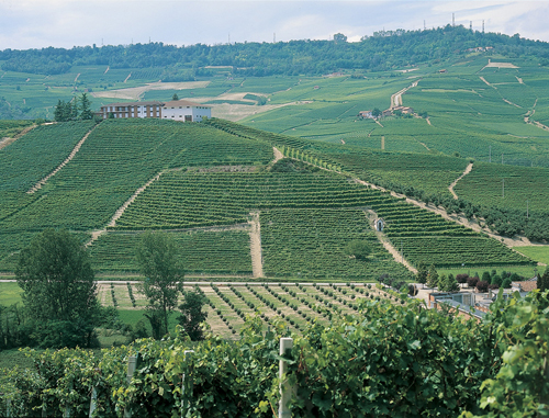 Chiarlo Cannubi Vineyard Barolo