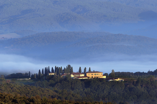 Tenute Silvio Nardi Bosco Estate