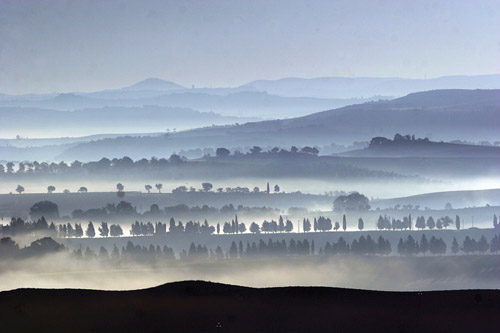 Tenute Silvio Nardi Landscape