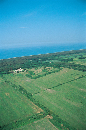 Tenuta San Guido Sassicaia Vineyards