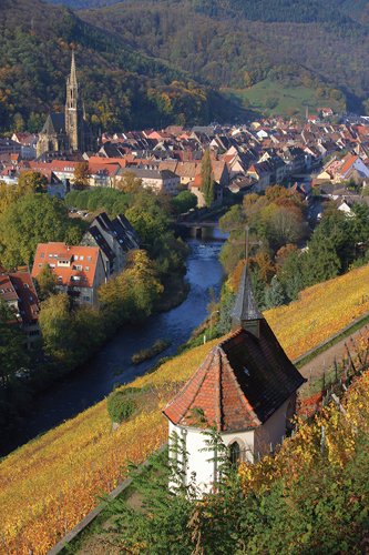Domaine Zind-Humbrecht Rangen Vineyard