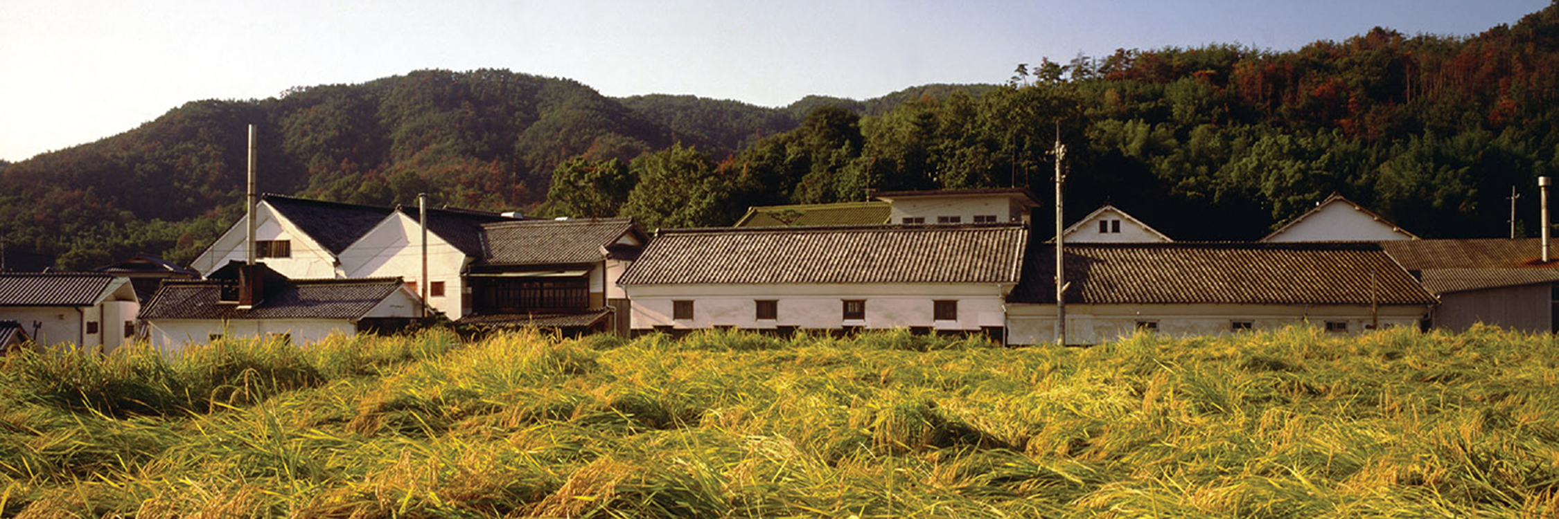 Liqueur Kishuroman Umeshu - WeWantSake