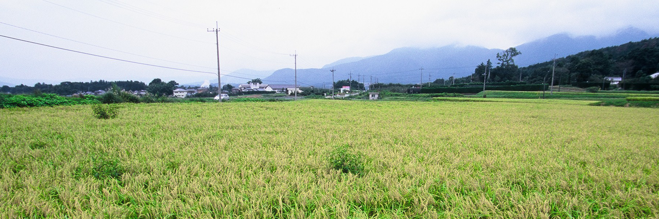 Taiheikai