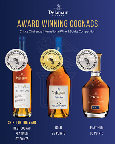 Delamain Sell Sheet – Critics Challenge Competition 2025