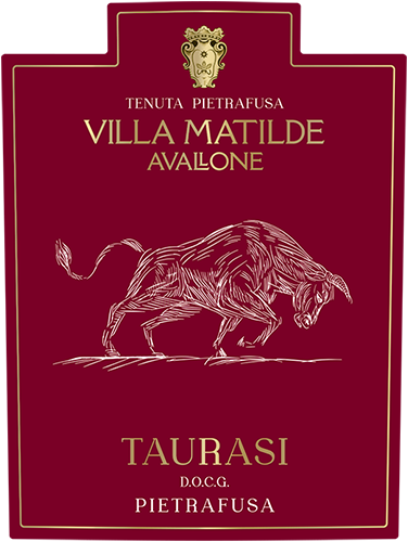 Taurasi DOCG Front Label
