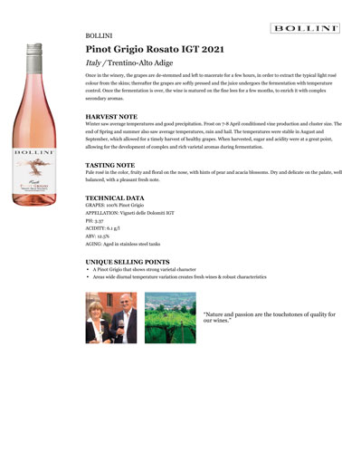 Pinot Grigio Rosato IGT 2021 Fact Sheet