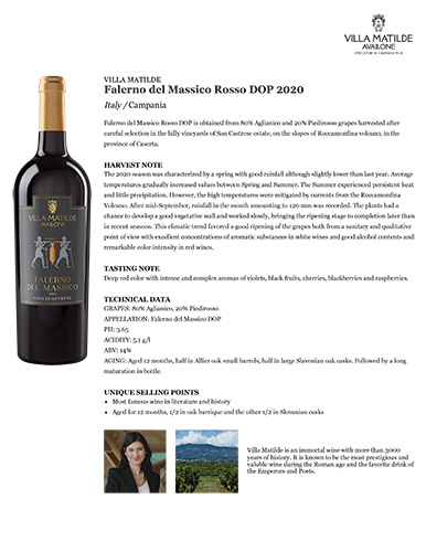 Falerno del Massico Rosso DOP 2020 Fact Sheet
