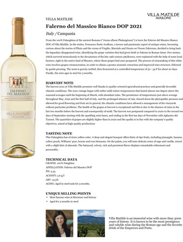 Falerno del Massico Bianco DOP 2021 Fact Sheet