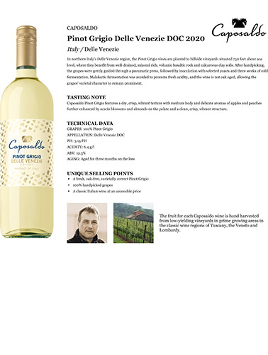 Pinot Grigio Delle Venezie DOC 2020 Fact Sheet