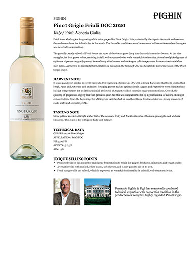 Pinot Grigio Friuli DOC 2020 Fact Sheet