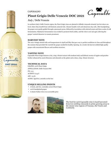 Pinot Grigio Delle Venezie DOC 2021 Fact Sheet