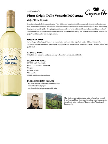 Pinot Grigio Delle Venezie DOC 2022 Fact Sheet