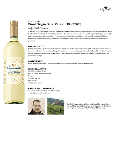 Otto: Pinot Grigio Delle Venezie DOC 2023 Fact Sheet