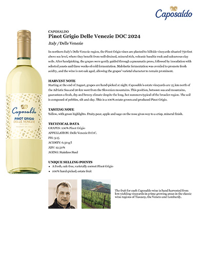 Pinot Grigio Delle Venezie DOC 2024 Fact Sheet