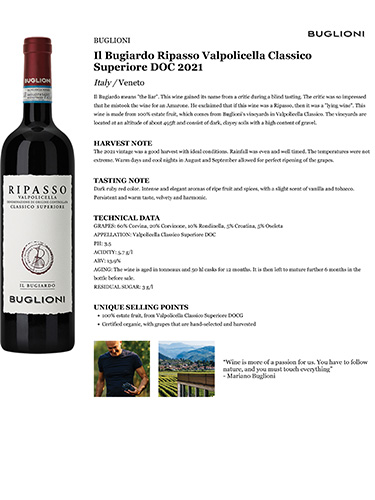 Il Bugiardo Ripasso Valpolicella Classico Superiore DOC 2021 Fact Sheet