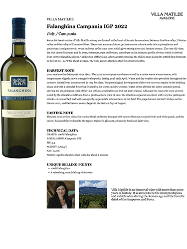 Falanghina Campania IGP 2022 Fact Sheet