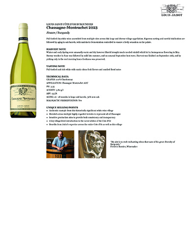 Core: Chassagne-Montrachet 2023 Fact Sheet