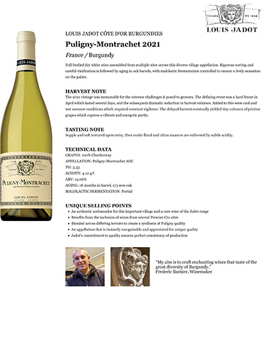 Puligny-Montrachet 2021 Fact Sheet