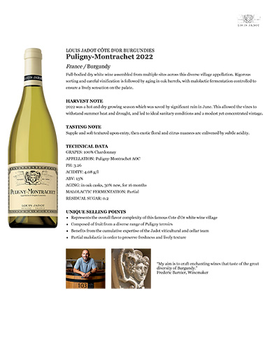 Puligny-Montrachet 2022 Fact Sheet
