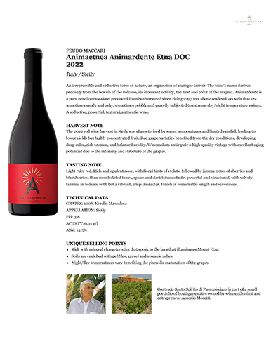 Animaetnea Animardente Etna DOC 2022 Fact Sheet