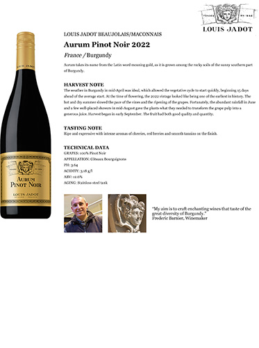 Aurum Pinot Noir 2022 Fact Sheet