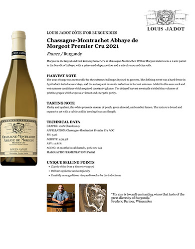 Chassagne-Montrachet Abbaye de Morgeot Premier Cru 2021 Fact Sheet