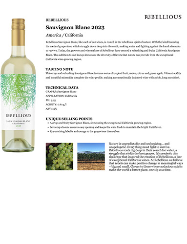 Sauvignon Blanc 2023 Fact Sheet