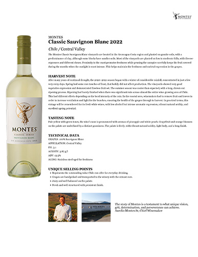 Classic Sauvignon Blanc 2022 Fact Sheet