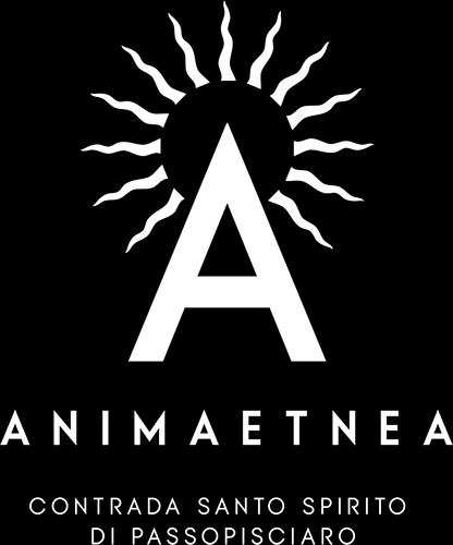 Animaetnea Logo (White PNG)
