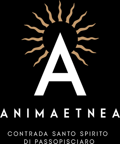 Animaetnea Logo (White and Gold PNG)