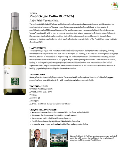 Pinot Grigio Collio DOC 2024 Fact Sheet