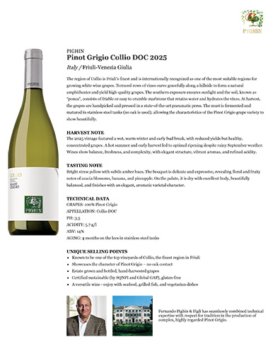 Pinot Grigio Collio DOC 2025 Fact Sheet