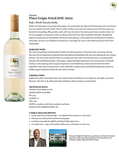 Pinot Grigio Friuli DOC 2024 Fact Sheet