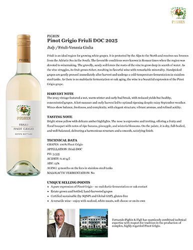 Pinot Grigio Friuli DOC 2025 Fact Sheet