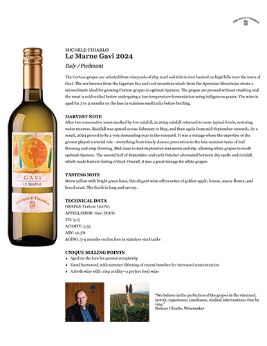 Le Marne Gavi DOCG 2024 Fact Sheet