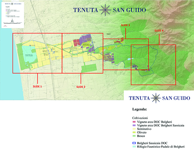 Tenuta San Guido Map