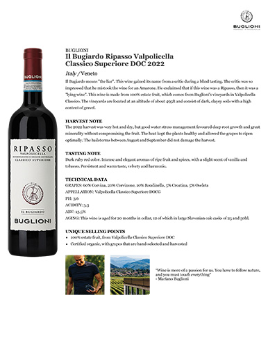 Il Bugiardo Ripasso Valpolicella Classico Superiore DOC 2022 Fact Sheet