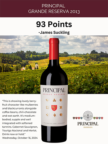 Principal Grande Reserva 2013 Sell Sheet – James Suckling, 95 Points