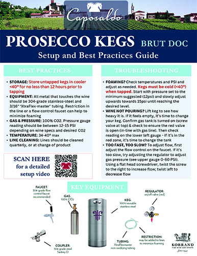 Caposaldo Prosecco – Kegs Setup Guide