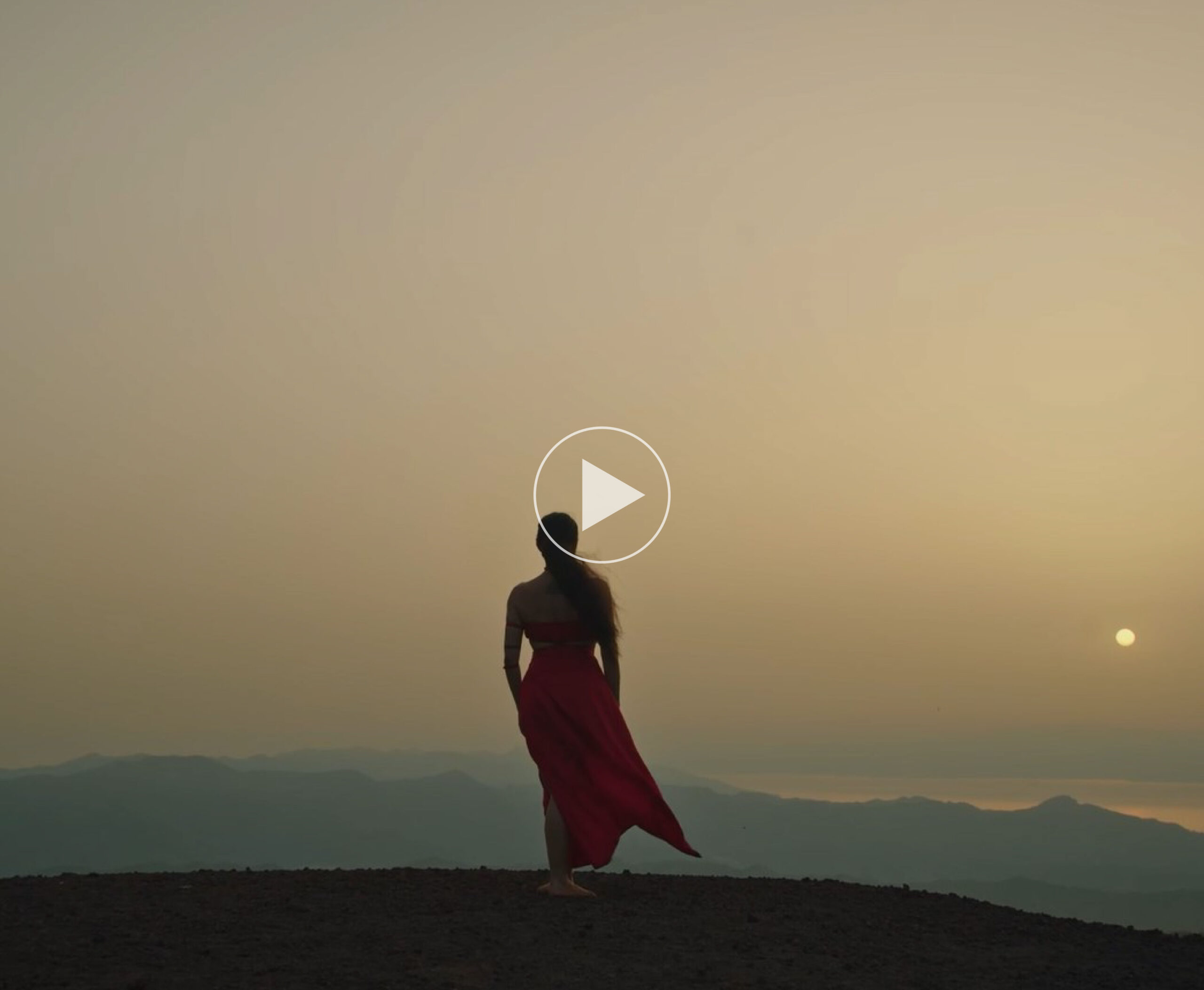 Animaetnea Promo Video 2023